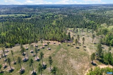 Here is a singularly exceptional sanctuary of rare scale and - photo 10