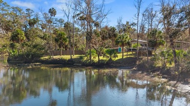 Welcome to your peaceful riverfront retreat on the Steinhatchee - photo 29