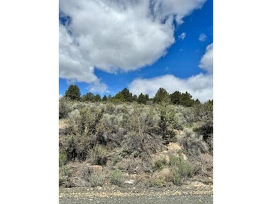 Sprague River Lot For Sale in Sprague River Oregon