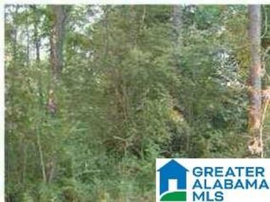 (private lake, pond, creek) Acreage For Sale in Alpine Alabama