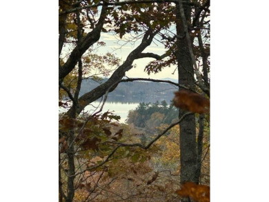 Swan Lake - Waldo County Lot For Sale in Frankfort Maine