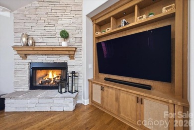 Luxury, Low-Maintenance Living in The Springs at Westport! This - photo 12