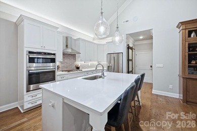 Luxury, Low-Maintenance Living in The Springs at Westport! This - photo 17