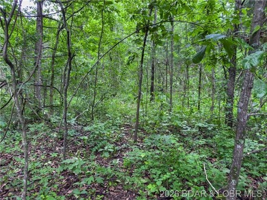 Large Lake Front Lot with 230 ft of Lake Front and 1.3 Acres - photo 17