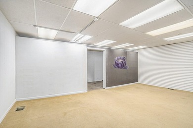Rare Downtown Allegan Redevelopment Opportunity with Expanded - photo 12