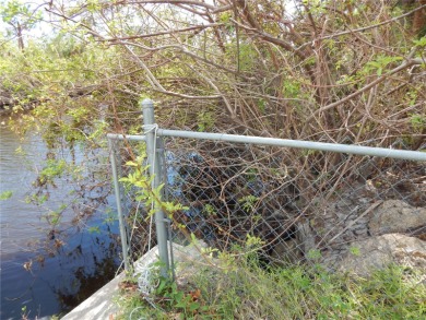 Two Large Salt Water Lots. 160 ft of Salt water frontage. Lot - photo 12