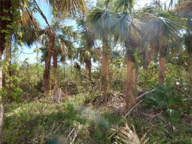 Two Large Salt Water Lots. 160 ft of Salt water frontage. Lot - photo 13