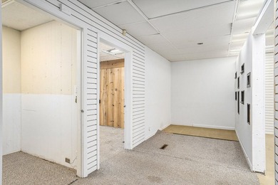 Rare Downtown Allegan Redevelopment Opportunity with Expanded - photo 14