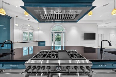 Welcome to an artfully designed luxury residence at 720 N Ocean - photo 27