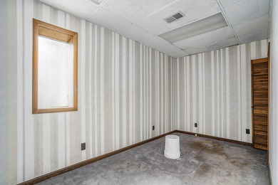 Rare Downtown Allegan Redevelopment Opportunity with Expanded - photo 32