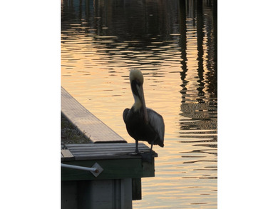 Step into your own slice of coastal paradise with this - photo 53