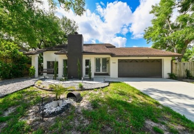Lake Home For Sale in Tampa, Florida