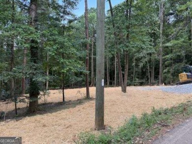 Lake Lot For Sale in Ellijay, Georgia