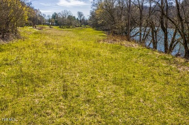 Nolichucky River Lot For Sale in Mosheim Tennessee