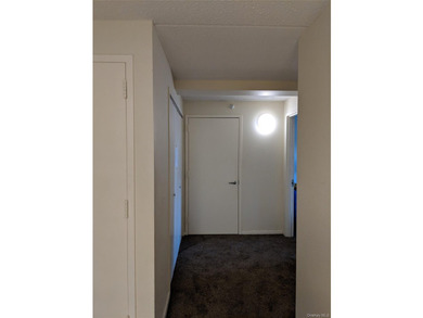 The cheapest modern (2007 building) 3BR 2BA condo over 1200sqft - photo 6
