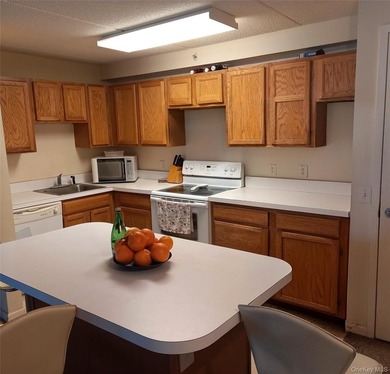 The cheapest modern (2007 building) 3BR 2BA condo over 1200sqft - photo 7