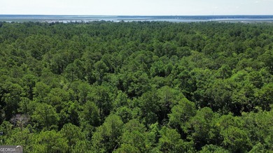 Build your dream home on this beautiful 1.9 acre unimproved lot - photo 11