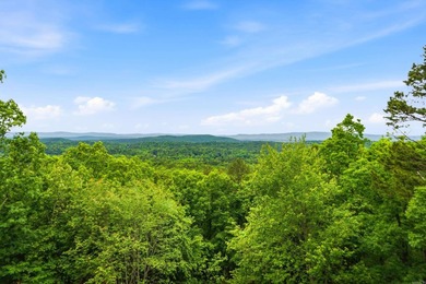 Located in the beautiful gated Hot Springs Village, 126 E - photo 12