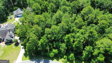 Build your dream home on this beautiful 1.9 acre unimproved lot - photo 12