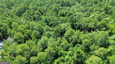 Build your dream home on this beautiful 1.9 acre unimproved lot - photo 13