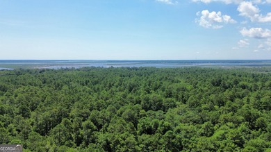 Build your dream home on this beautiful 1.9 acre unimproved lot - photo 15