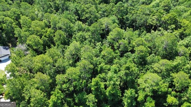 Build your dream home on this beautiful 1.9 acre unimproved lot - photo 16