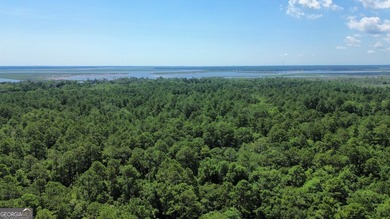 Build your dream home on this beautiful 1.9 acre unimproved lot - photo 18