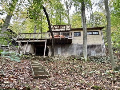 Youghiogheny River Lake Home For Sale in Confluence Pennsylvania