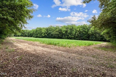 GREAT OPPORTUNITY +/- 58 ACRES with 60' access easement in rural - photo 2