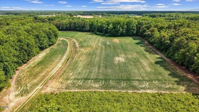 GREAT OPPORTUNITY +/- 58 ACRES with 60' access easement in rural - photo 3