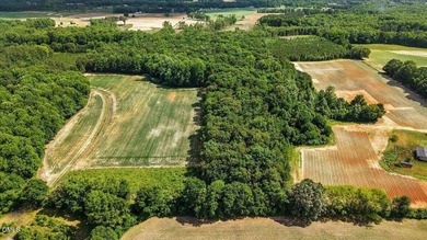 GREAT OPPORTUNITY +/- 58 ACRES with 60' access easement in rural - photo 4