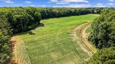 GREAT OPPORTUNITY +/- 58 ACRES with 60' access easement in rural - photo 5