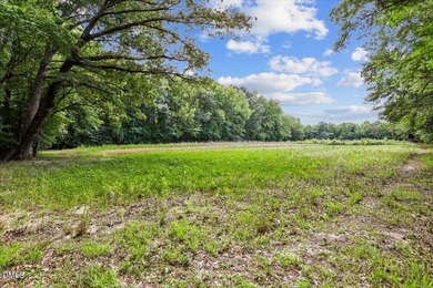 GREAT OPPORTUNITY +/- 58 ACRES with 60' access easement in rural - photo 7