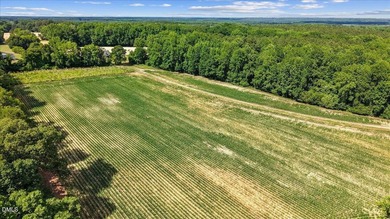 GREAT OPPORTUNITY +/- 58 ACRES with 60' access easement in rural - photo 8