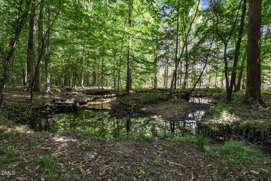 GREAT OPPORTUNITY +/- 58 ACRES with 60' access easement in rural - photo 9