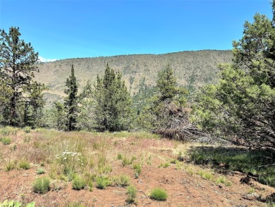 Upper Klamath Lake Acreage For Sale in Klamath Falls Oregon