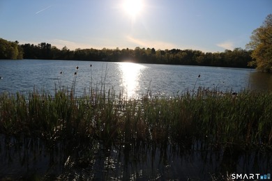 Enjoy the serenity of an *on golden pond* setting with this - photo 1