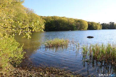 Enjoy the serenity of an *on golden pond* setting with this - photo 2