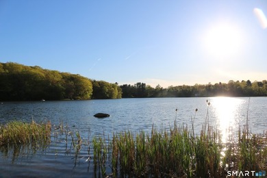 Enjoy the serenity of an *on golden pond* setting with this - photo 3