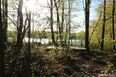 Enjoy the serenity of an *on golden pond* setting with this - photo 4