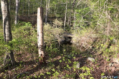 Enjoy the serenity of an *on golden pond* setting with this - photo 10