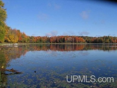 (private lake, pond, creek) Acreage For Sale in Watersmeet Michigan