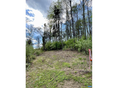 Rare lake-view lot on Lake Albemarle in Western Albemarle County - photo 1