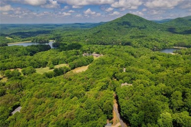 Lake Lot For Sale in Jasper, Georgia