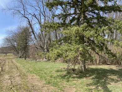 Discover a rare opportunity to own 177 acres of diverse and - photo 11