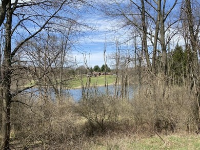 Discover a rare opportunity to own 177 acres of diverse and - photo 12