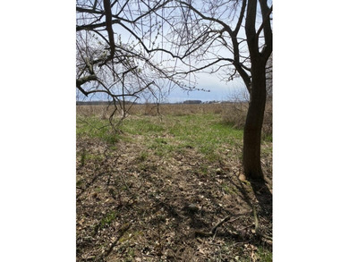 Discover a rare opportunity to own 177 acres of diverse and - photo 13