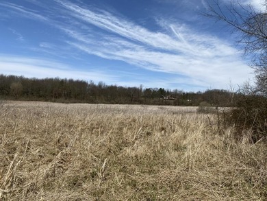 Discover a rare opportunity to own 177 acres of diverse and - photo 14