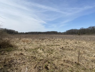 Discover a rare opportunity to own 177 acres of diverse and - photo 15