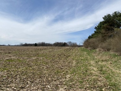 Discover a rare opportunity to own 177 acres of diverse and - photo 17